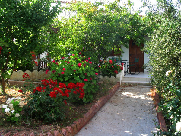sunrise apartments inside the green